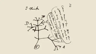 Synthesis of phylogeny and taxonomy into a comprehensive tree of life featured image